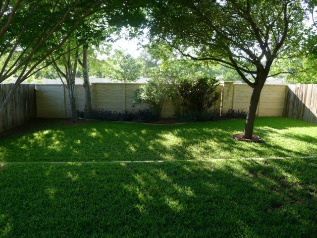9336 Bernoulli -large picture - backyard as seen from back porch
